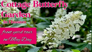 May 6, 2024 Cottage Butterfly FRONT YARD Garden tour in Houston, Texas zone 9b