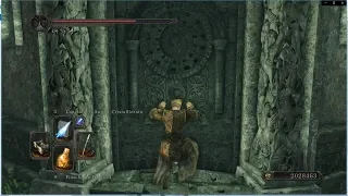 Dark Souls II Shortcut - How to reach Drangleic Castle without the 4 Bosses' souls