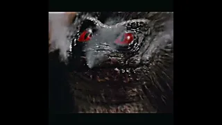 Stripe(Gremlins) vs Critter(Critters)