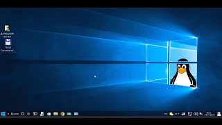 LinuxFX 10 WS  Новый облик Linux или Windows Трансформер