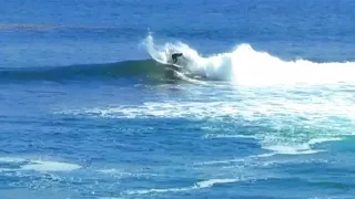 Sneaky, FUN Solo Surf Session!