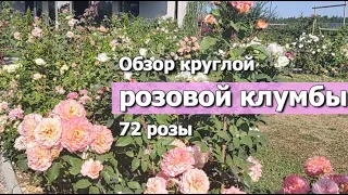 Обзор круглой РОЗОВОЙ КЛУМБЫ 72 куста роз | Сорта роз на моей большой розовой клумбе