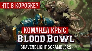 Команда крыс | Blood Bowl Unboxing | Skavenblight Scramblers