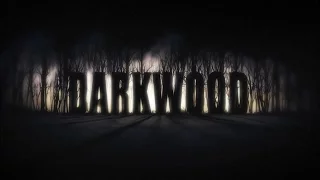 4. Darkwood - Что-то есть в подземелье...