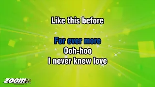 Stephanie Mills - Never Knew Love Like This Before - Karaoke Version from Zoom Karaoke