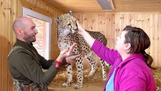 You can't outwit Cheetah Gerda?