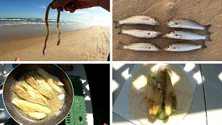 CATCH & COOK - The Whiting Were Biting