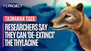 Researchers Say They Can 'De-Extinct' The Tasmanian Tiger