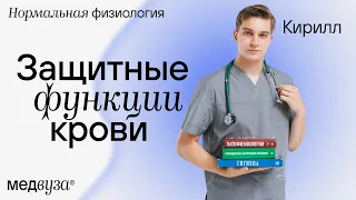 Защитные функции крови | Нормальная физиология человека