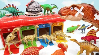 Giant Tyrannosaurus Rex Eat Dinosaurus! Dino Skeleton, Dino Egg Battle Video 공룡뼈 티라노사우루스 공룡