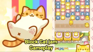 Block Cat jam Game Gameplay