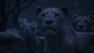 Lion King - Circle of life [Reprise] (Latvian) Subs & Trans