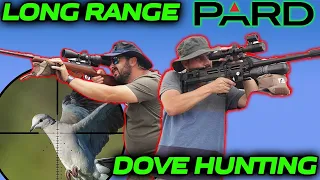 Long Range Dove Hunting with PARD DS35-70RF BRK GHOST and CZ Brno!