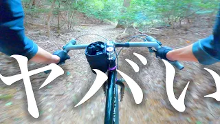 ドロハン×トレイルは無理だと思っててごめんなさい　これは真に『MTB用ドロップバー』です　surly cornerbar