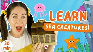 Learn at the beach! | Prepositions, colors, syllables, counting | Toddler learning - learn to talk!
