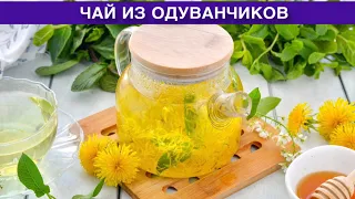 КАК ПРИГОТОВИТЬ ЧАЙ ИЗ ОДУВАНЧИКОВ? Вкусный полезный необычный ароматный напиток в домашних условиях