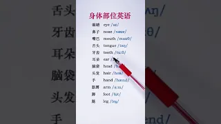 身体部位英语单词 #Learn Chinese - Learn English #英语
