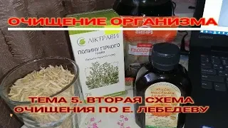 ☝☝ТЕМА 5. ОЧИЩЕНИЕ ОРГАНИЗМА ПО Е.ЛЕБЕДЕВУ. Схема 2