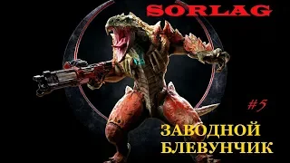 QUAKE 🛑 Champions 🛑 TOP 5 Обзор чемпионов // Sorlag - #5