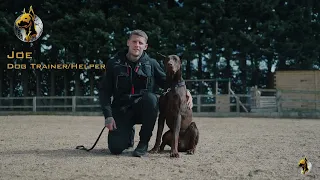 Meet Joe- Trainer at Protection Dogs Worldwide