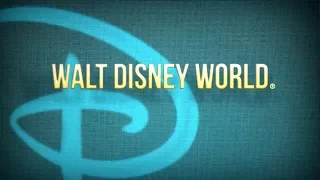 Must Do Magic - Walt Disney World Resort