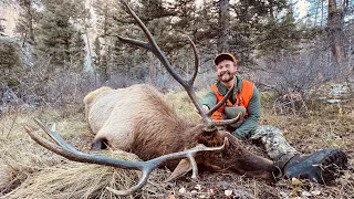 6 POINT DOWN!!! | Brenten's FIRST Colorado Elk Hunt | S7E16 | Limitless Outdoors