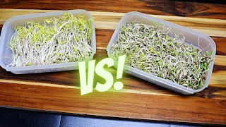 Why Aren't You Growing Bean Sprouts?