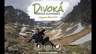 Trailer Divoká príroda Slovenska s Nigelom Marvenom