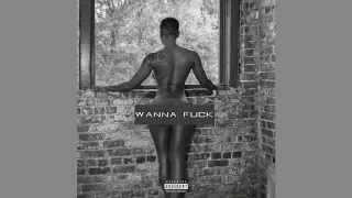 Wanna F*ck (Feat. MJ Carter & Zoey T.)