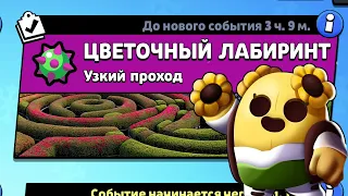 НОВЫЙ РЕЖИМ "ЦВЕТОЧНЫЙ ЛАБИРИНТ" БРАВЛ СТАРС | КОНЦЕПТ