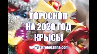 ГОРОСКОП НА 2020 ГОД КРЫСЫ. Что надеть, как встретить, что подарить и приготовить