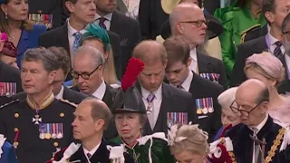 Prince Harry 'obliterated' by Princess Anne's plumage from her hat during coronation