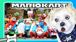 Mario Kart in Real Life! Shiloh and Bros. (Reaction) Chopsicle The Dog :)