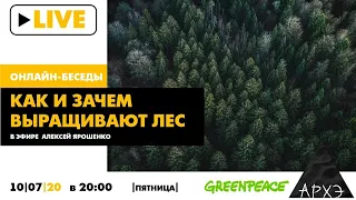 Онлайн-беседа "Как и зачем выращивают лес" в рамках проекта "Лесной вопрос"