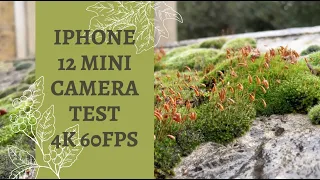 IPHONE 12 MINI CAMERA TEST 4K 60FPS // ПРИМЕР ЗАПИСИ ВИДЕО + НОЧНАЯ СЪЕМКА