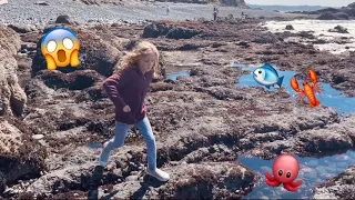 Exploring Tide Pools on the Oregon Coast