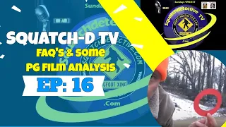 👉Bigfoot Video Analysis - Squatch-D TV Ep.16