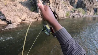 Fly Fishing In The California Sierra Mountains - Healthy Rainbow Trout