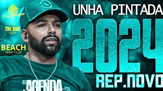 UNHA PINTADA REPERTÓRIO NOVO 2024 ( CD NOVO 2024 ) MÚSICAS NOVAS UNHA PINTADA 2024