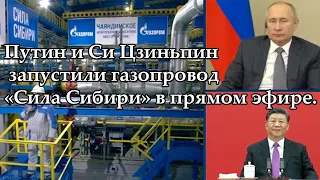 Путин и Си Цзиньпин запустили газопровод «Сила Сибири» в прямом эфире