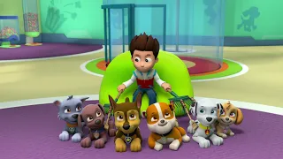 Ryder Gives The Pups A Good Scratch - Paw Patrol