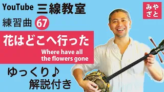 【練習曲67 Where have all the flowers gone　花はどこへ行った 】　#一緒に　#三線　#ゆっくり　#練習　＠宮里英克沖縄三線教室