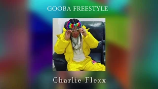 6IX9INE- GOOBA (REMIX) -freestyle CHARLIE FLEXX