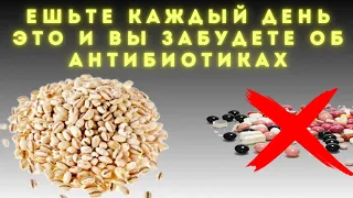 ПОЛЬЗА ЖЕМЧУЖИННЫХ ЗЁРЕН / Что делает перловка с организмом? / Перловая крупа / Польза перловки