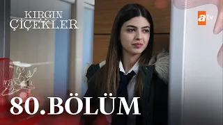 Kırgın Çiçekler 80. Bölüm - atv