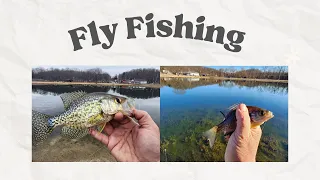 Fly Fishing on a Spinning Rod - Good Results!  (March 2023)