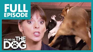 Dogs Fight So Bad Victoria is Forced to Intervene😱 | Full Episode  | It's Me or the Dog