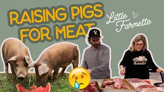 RAISING PIGS FOR MEAT the full story! The Little Farmette