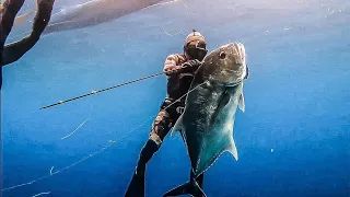 Saya Menangkap Ikan Besar Di Wakatobi Ikan Monster Giant Trevaly