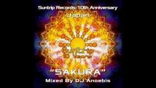 Suntrip 10 Years [GOA-MIX]